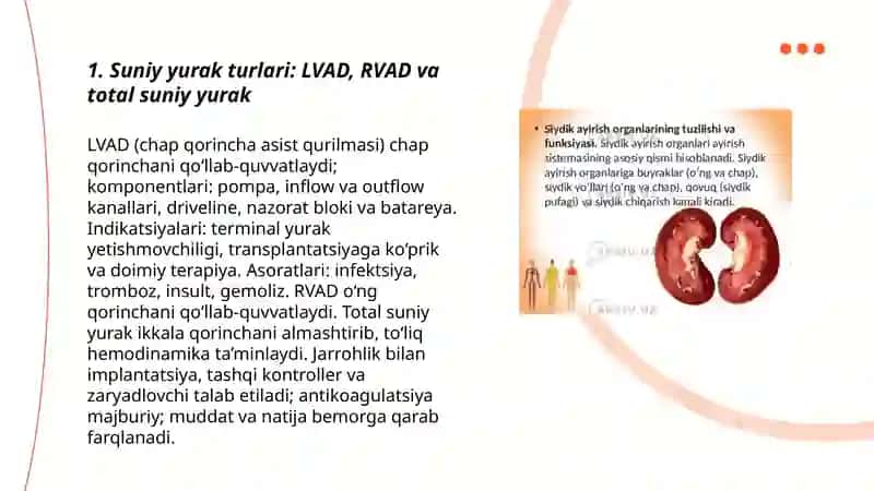 Suniy Yurak, suniy buyrak 3