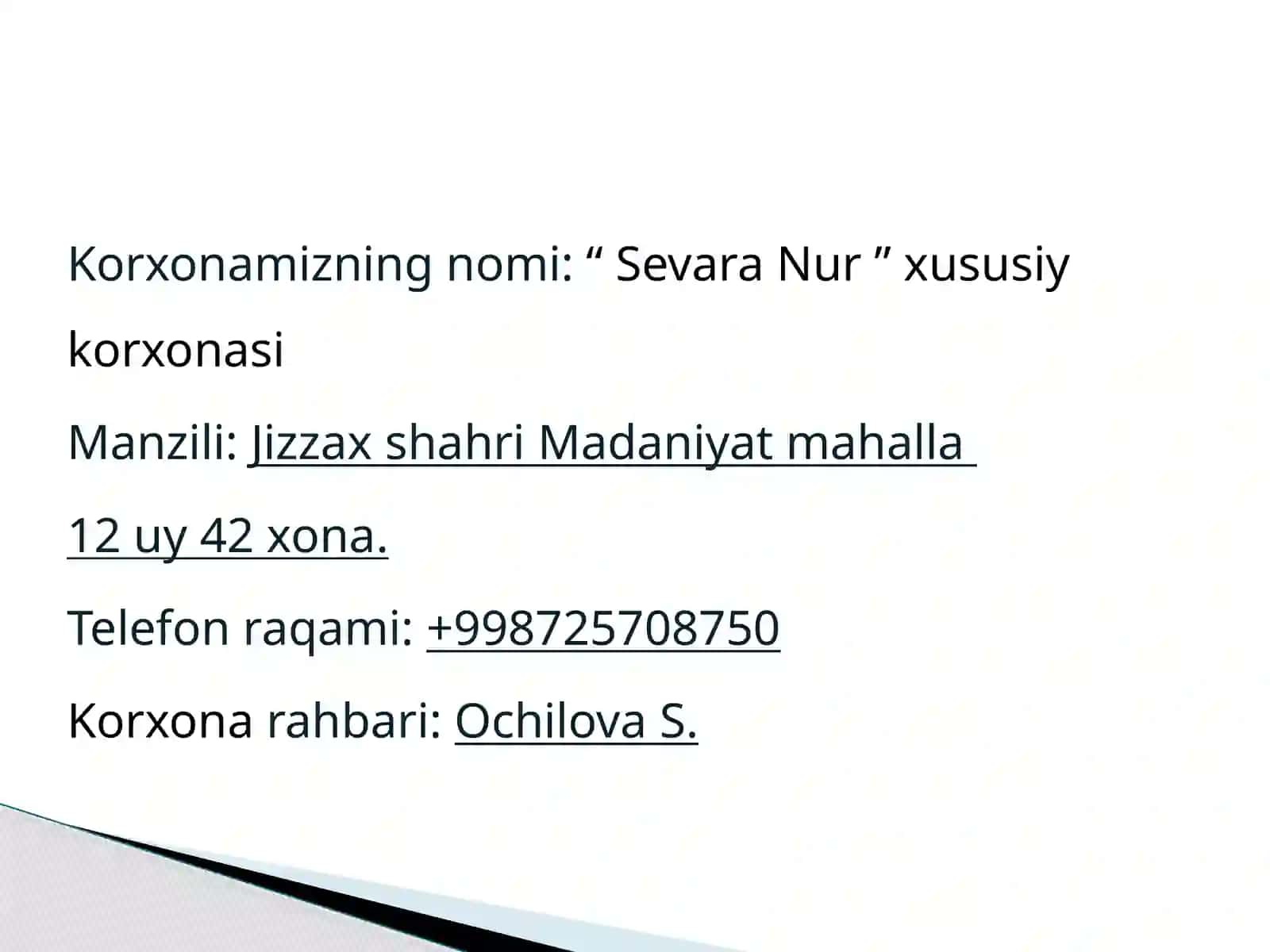 BIZNES REJASI 3
