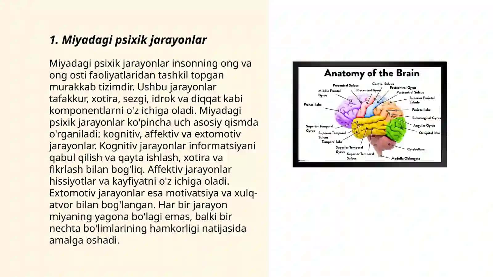 Miyadagi psixik jarayonlar 3
