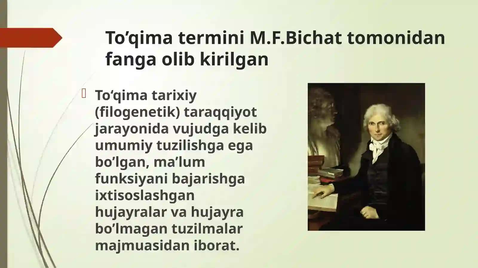 To’qimalar haqidagi ta'limot. Epitеliy to’qimasi 3