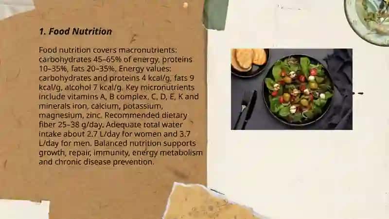 Food Nutrition 3