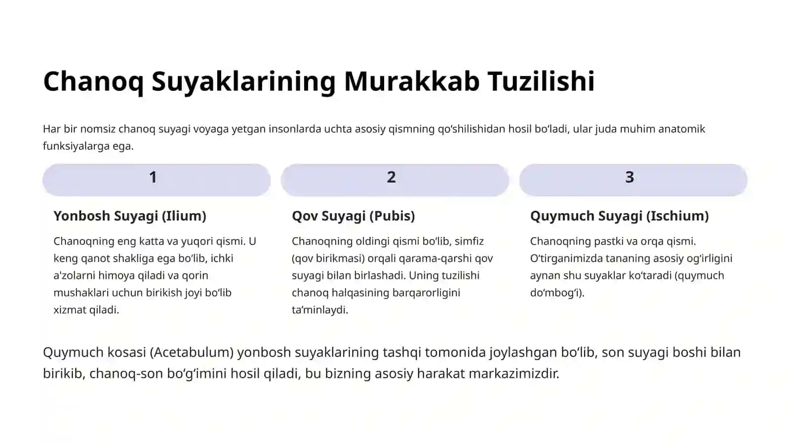 Chanoq va Oyoqning Erkin Suyaklari Anatomiyasi 3