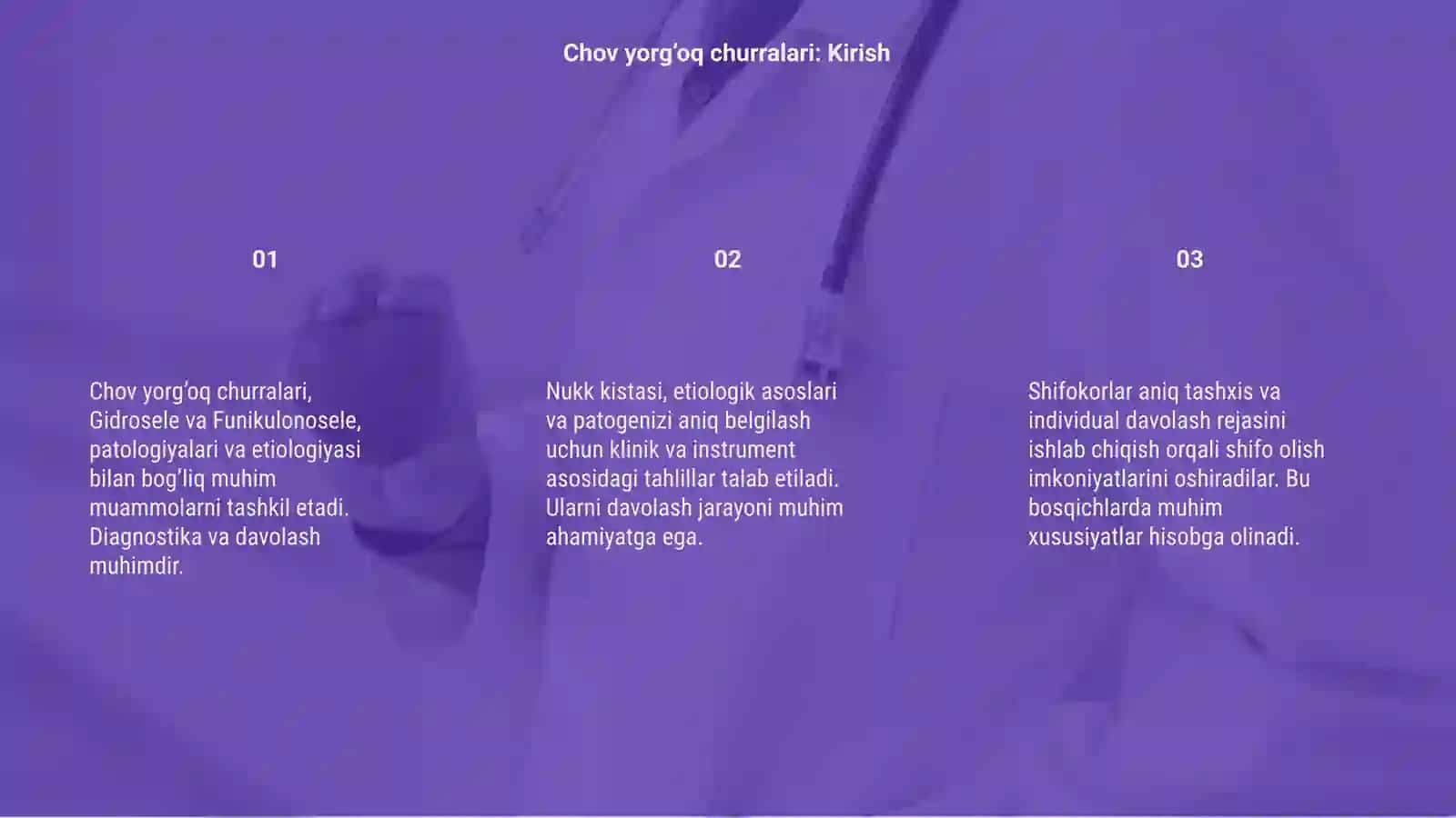 Chov yorg’oq churralari 3