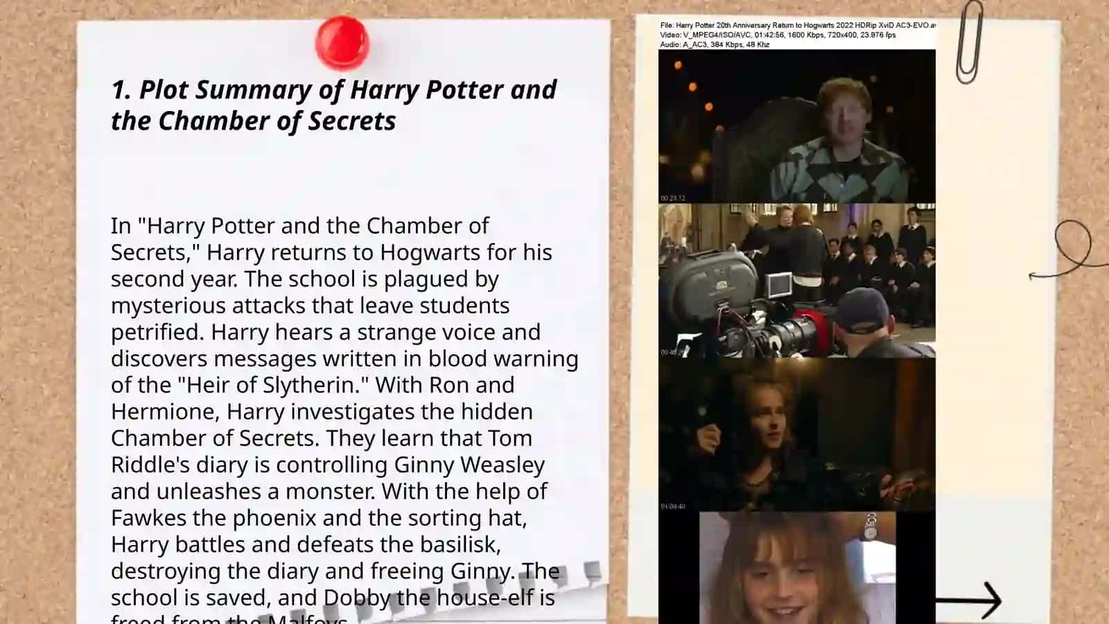 Harry Potter and the Chamber of Secrets 3