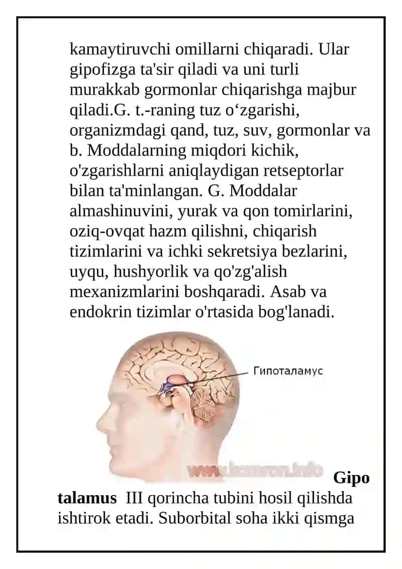 ANATOMIYA Referati 3
