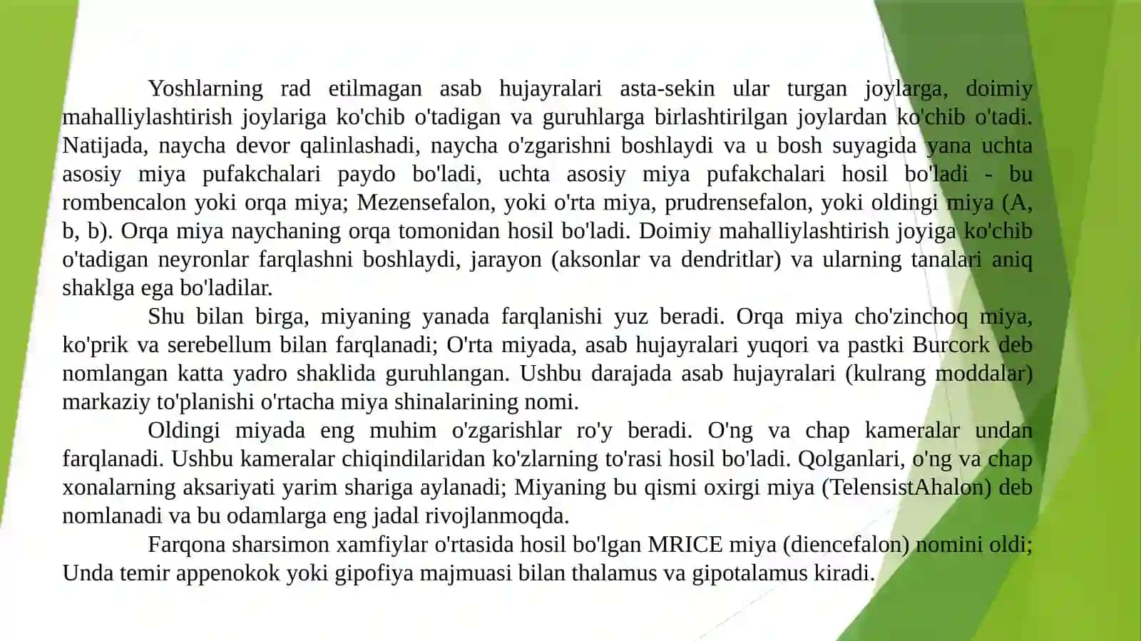 NervtizimiNeyrontarmoqlari 3