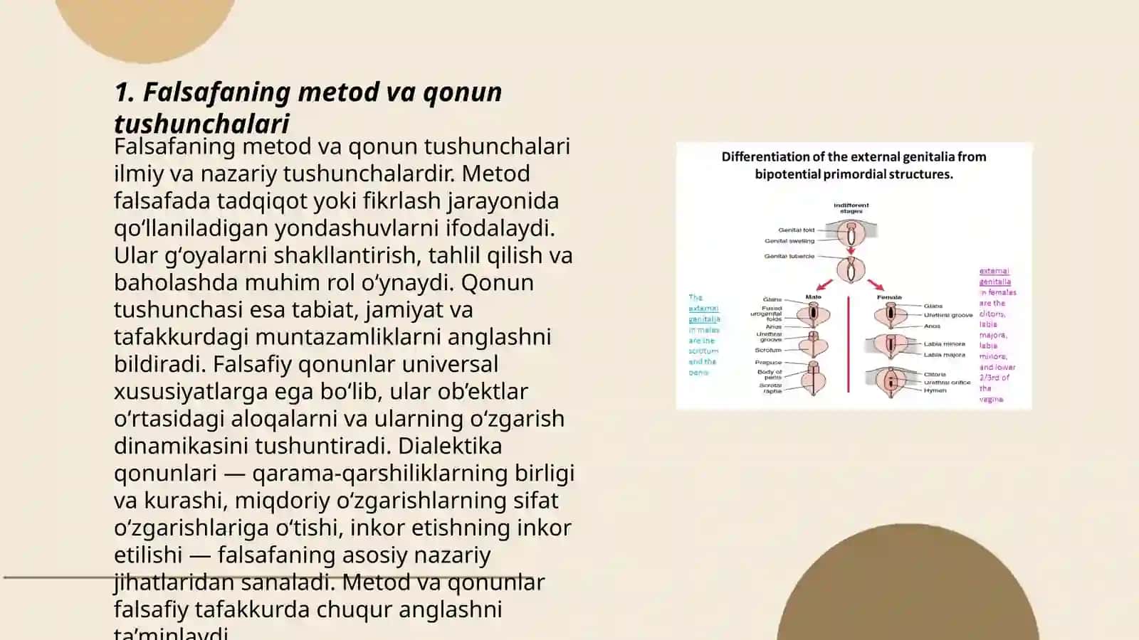 Falsafaning metod va qonun kategoriyalari 3