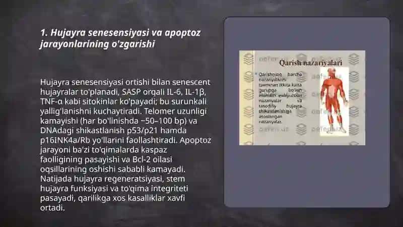 Organizmdagi keksayish davriga xos ôzgarishlar 3