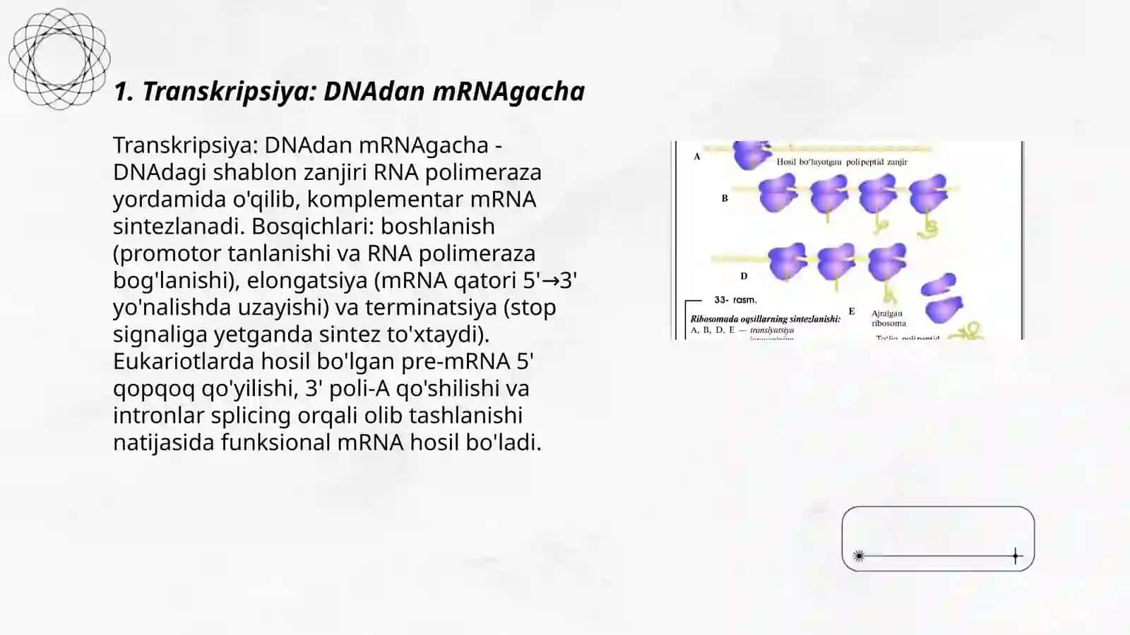 Oqsil biosintezi 3