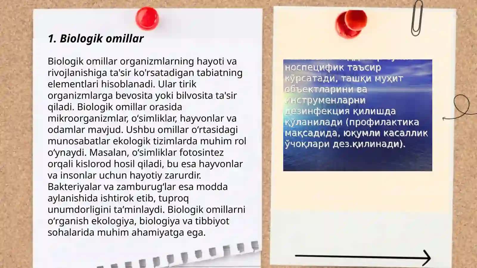 Muhit va Ekalogik omillar 3