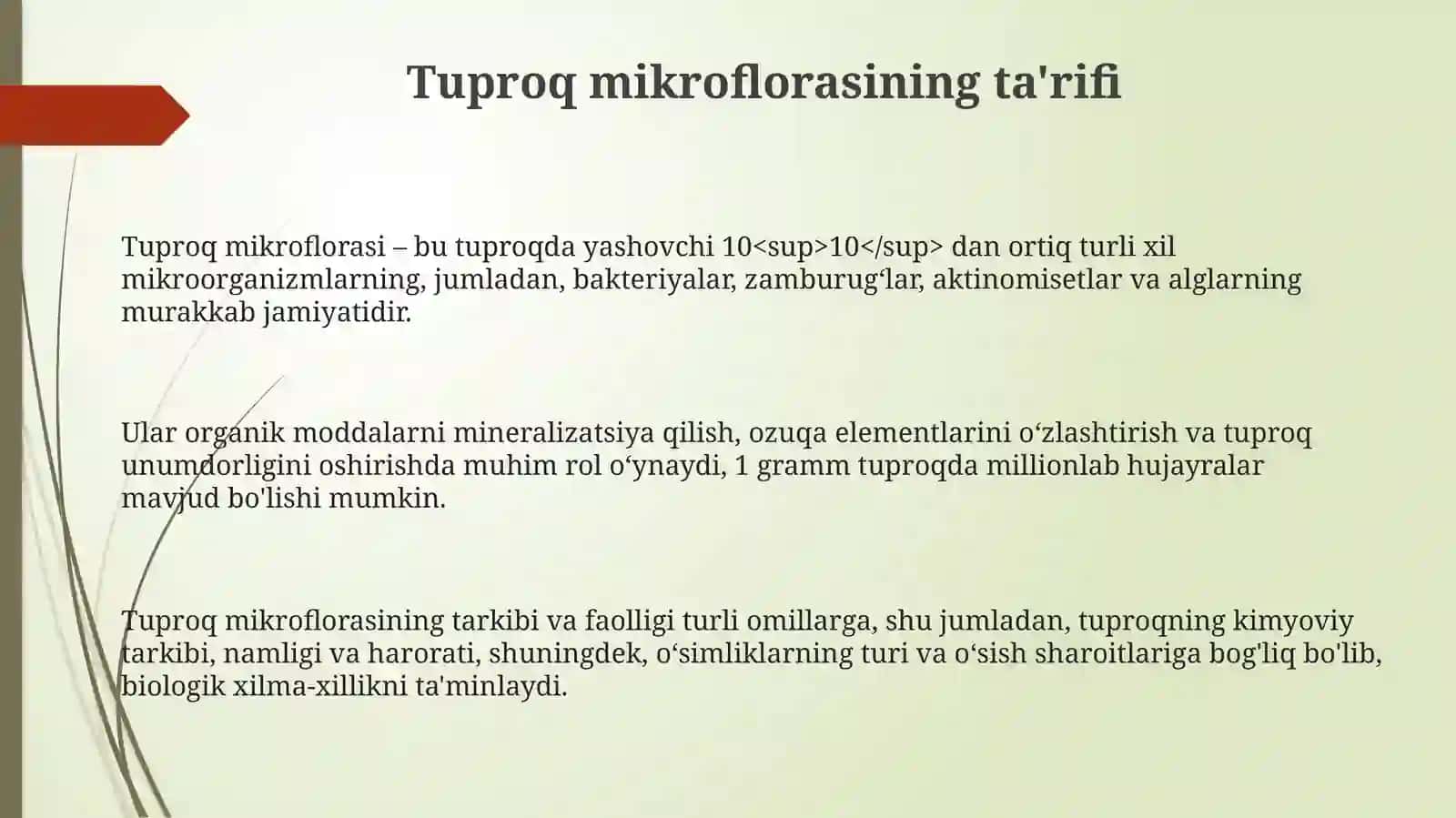 Tuproq mikroflorasi 3
