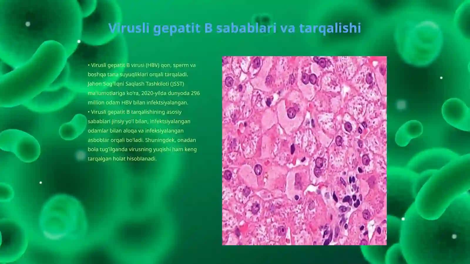 Virusli gepatitlar B C D turlari haqida tushuncha 3