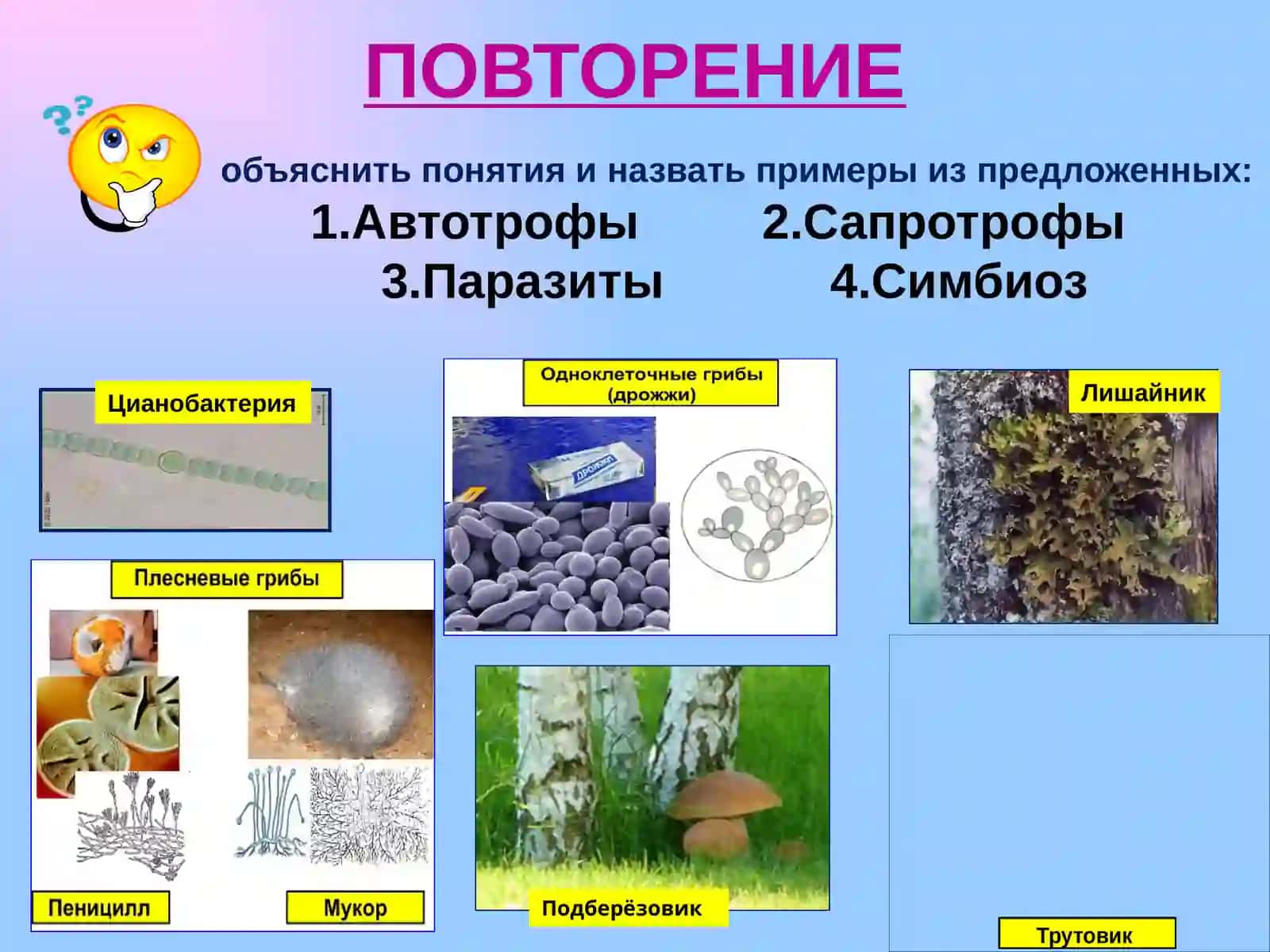 Питание животных 3