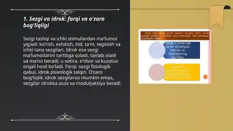 Bilish jarayonlari sezgi haqida tushuncha 3