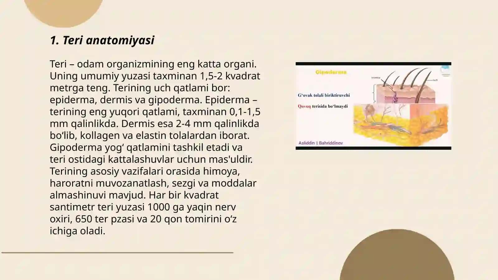 Teri tuzilishi va funksiyasi 3