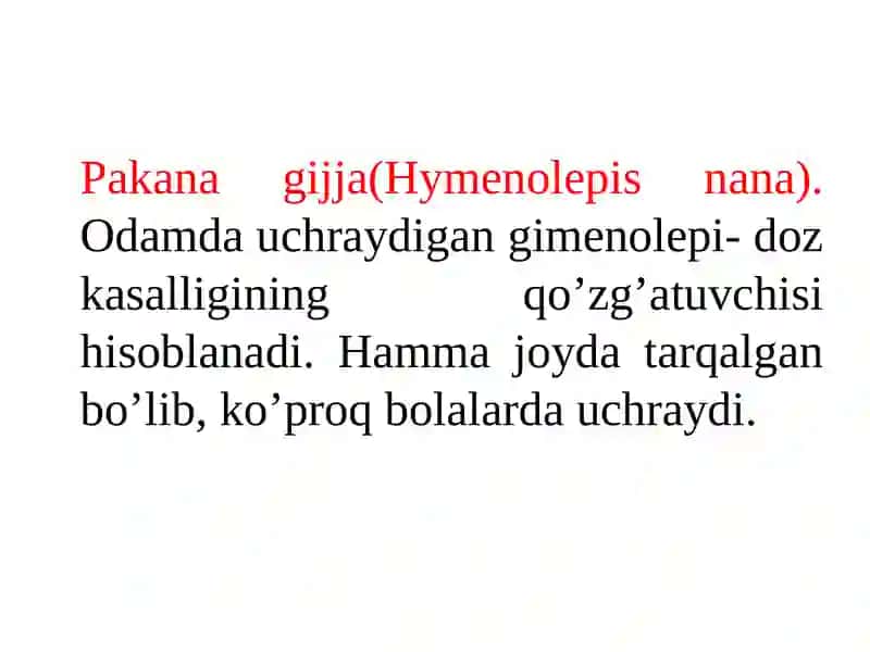 Pakana gijja (Hymenolepis nana) 3