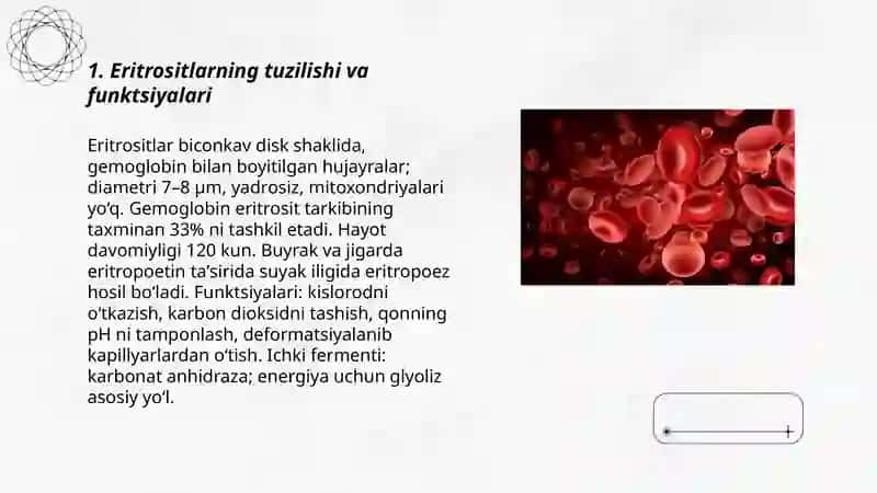Eritrosit gemoglabin leykosit qon guruhlari 3