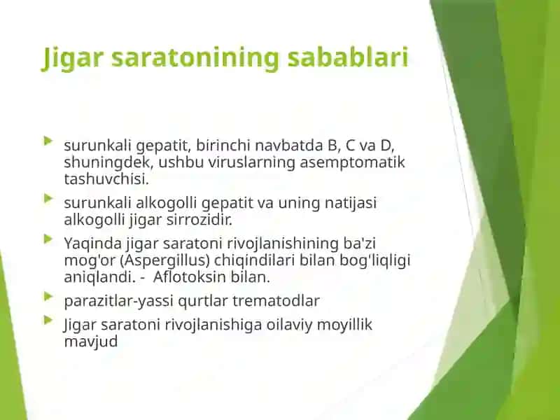 Jigar sartoni 3
