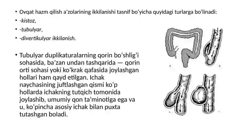 Xazmqilish nayining ikkilanishi 3