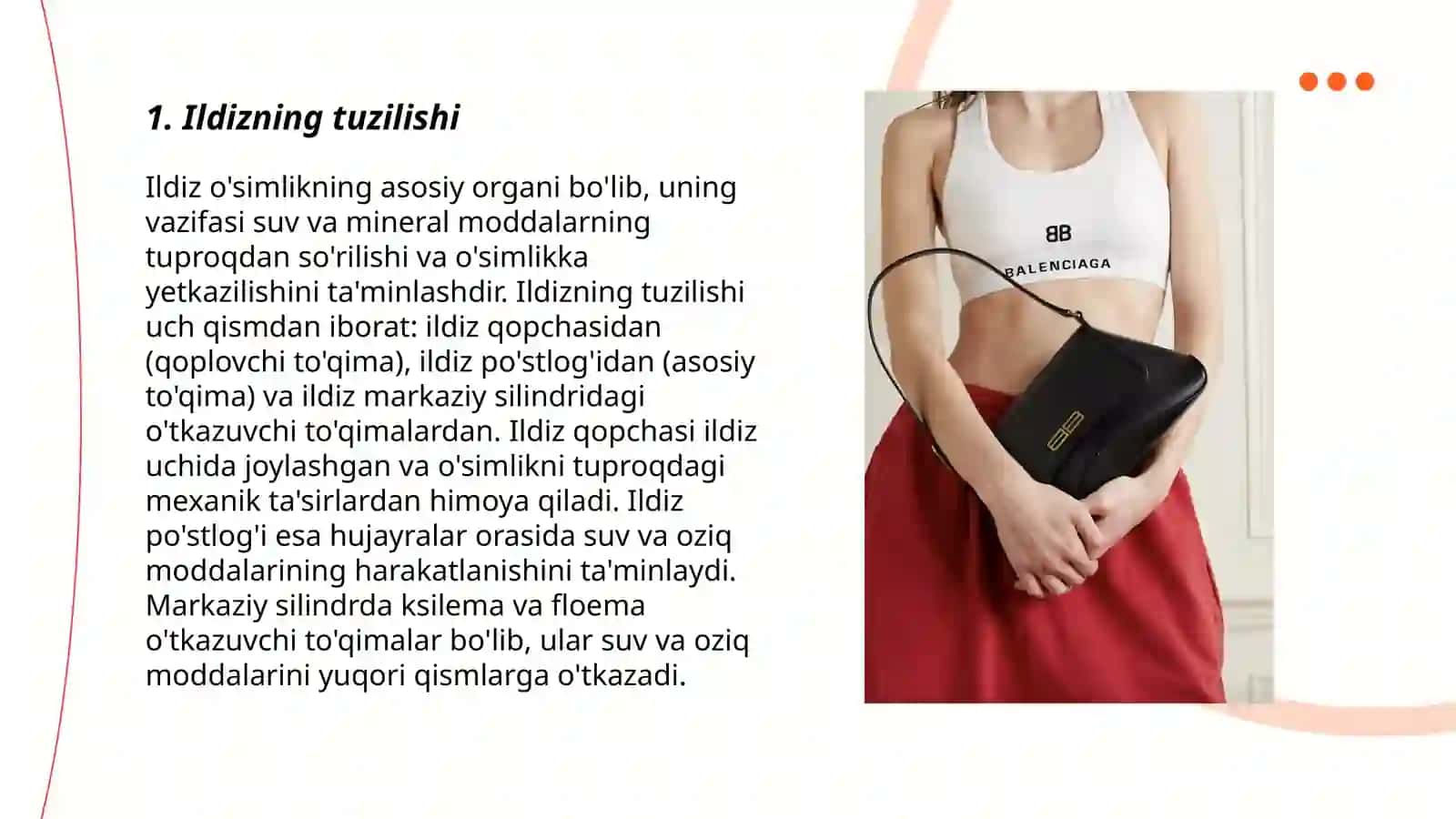Ildiz poya barg metamorfozi 3