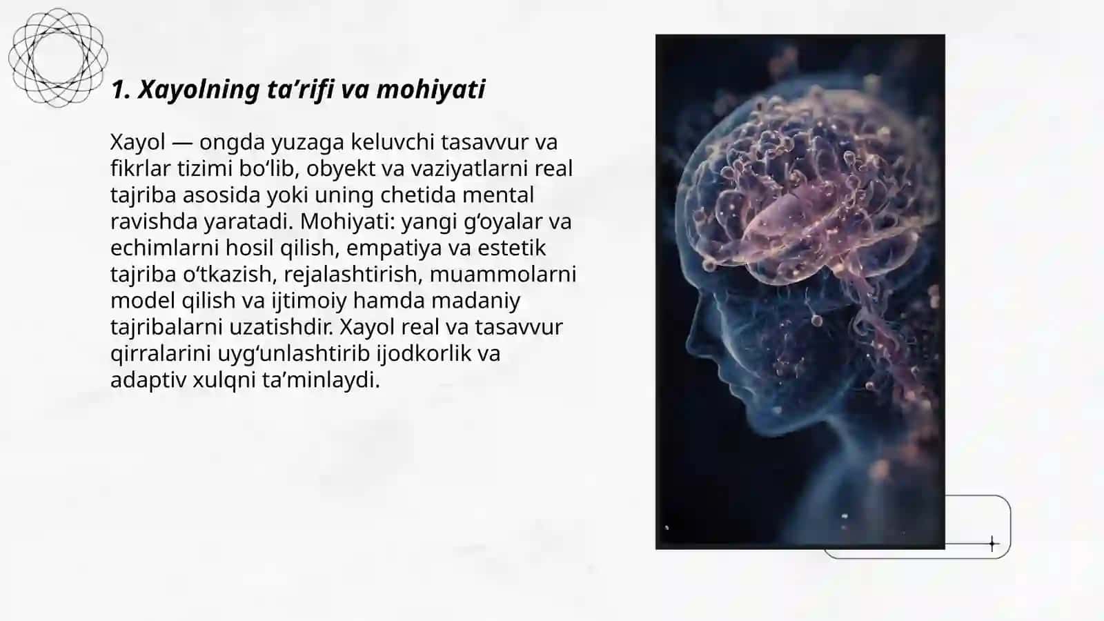 XAYOL 3