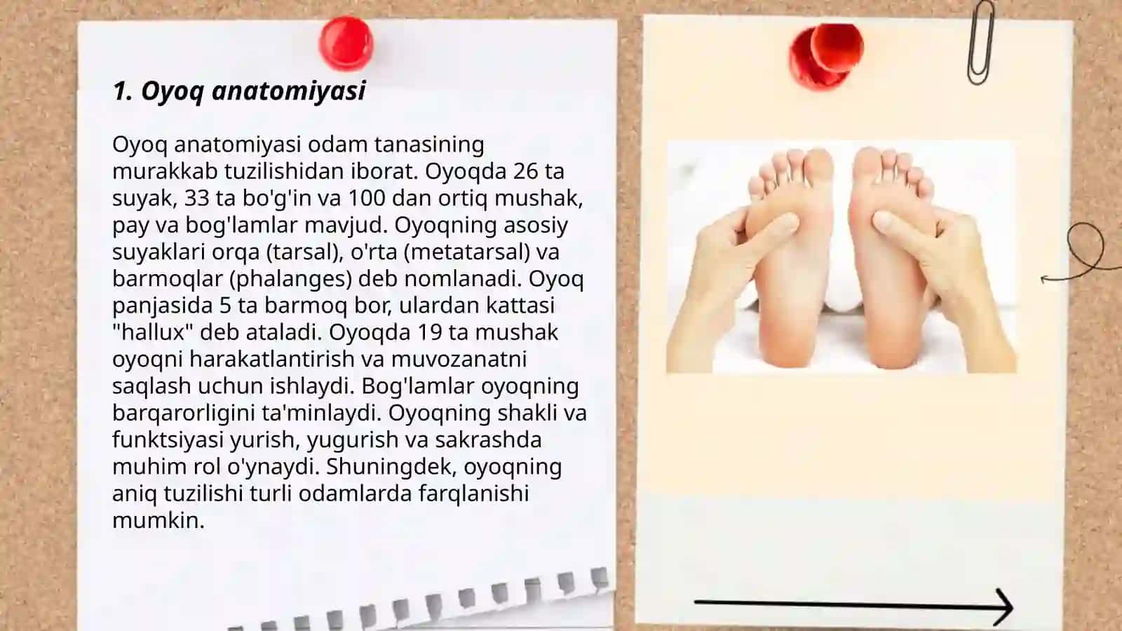 Oyoq 3