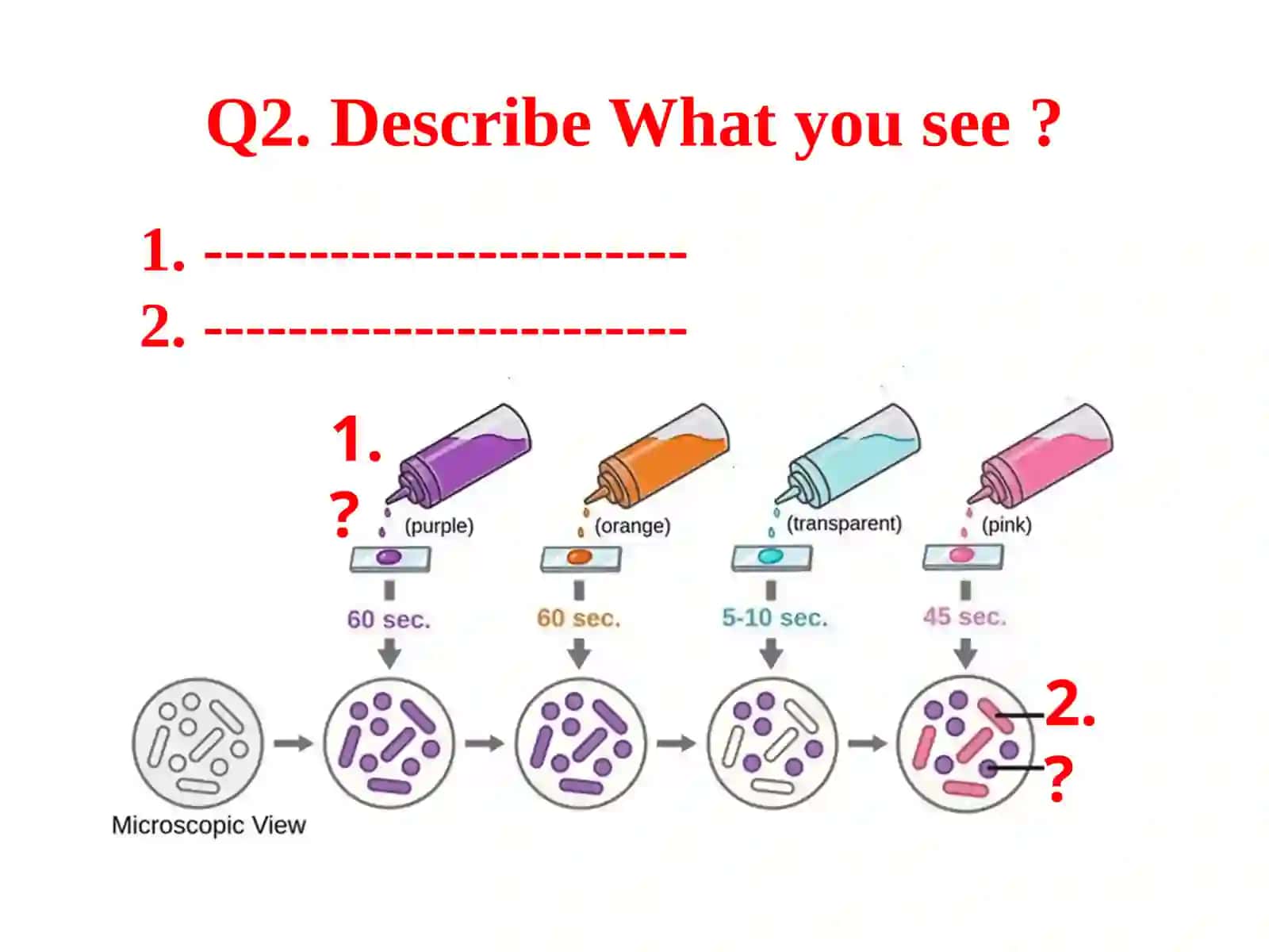 Medical Biology 3