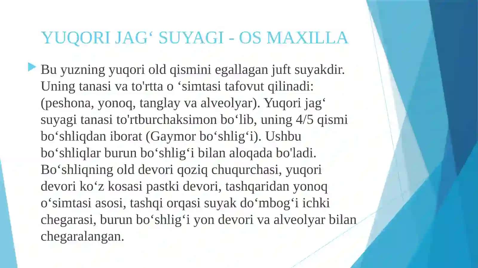 Yuqori jag’ning anatomik tuzilishi. 3