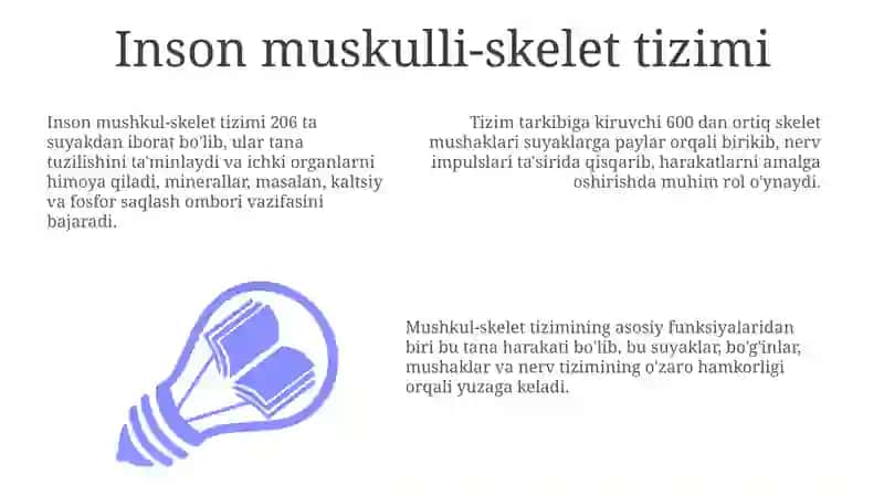 Inson harakatlanish tizimi 3
