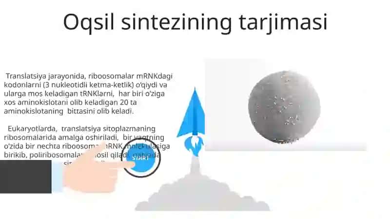 DNK va RNK 3