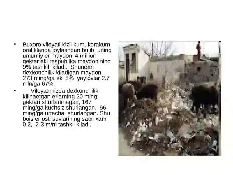 Buxoro viloyatida ekologik muammolar 3