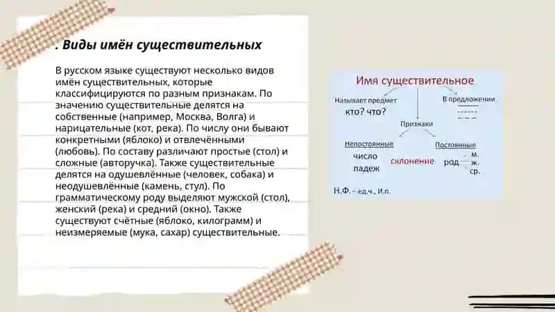 Виды имён существительных 3