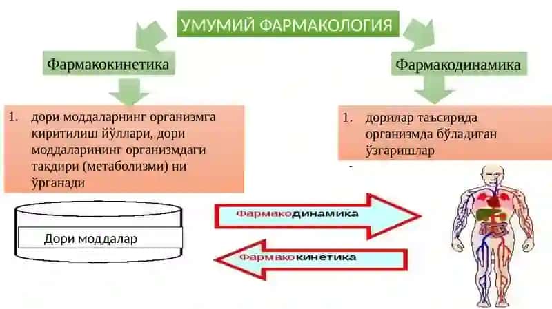 УМУМИЙ ФАРМАКОЛОГИЯ 3
