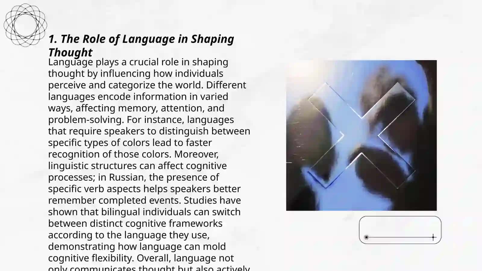 The Role of Language in Shaping Thought 3