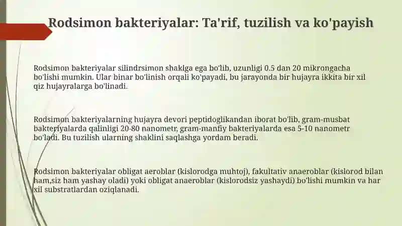 Rodsimon bakteriyalar Tuzilish va Xususiyatlari 3