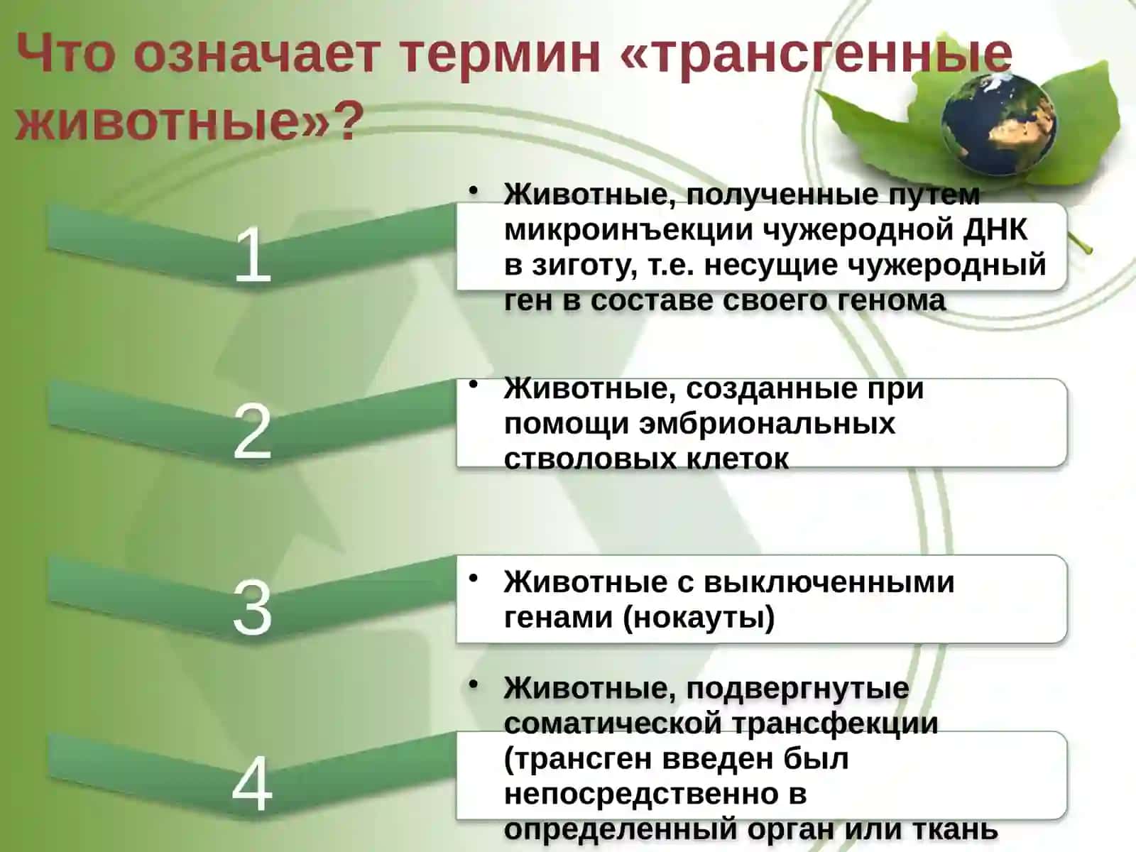 ОСНОВЫ БИОТЕХНОЛОГИИ 3