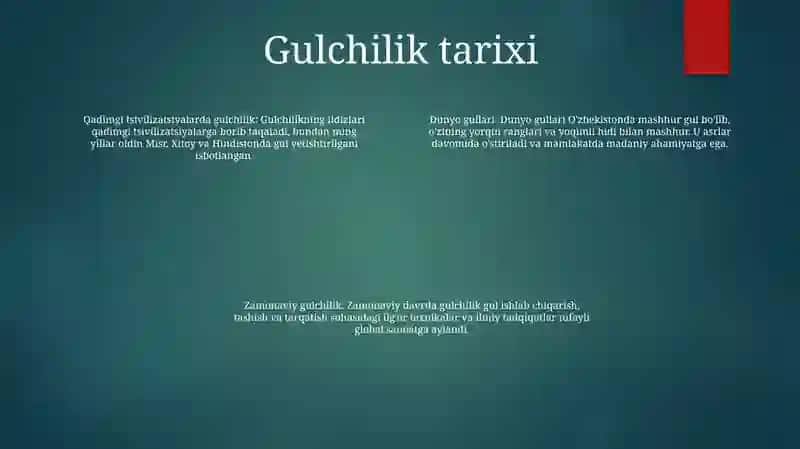 Dunyo Gullari 3