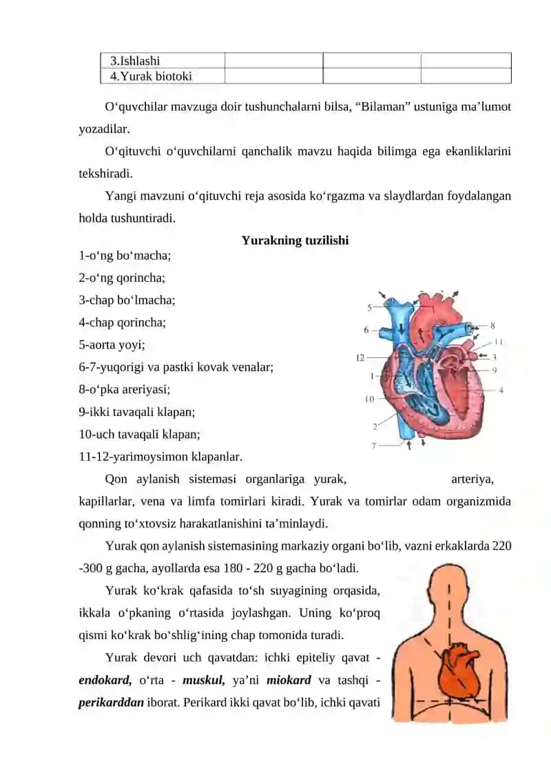 Qon aylanish tizimi haqida umumiy tushuncha 3