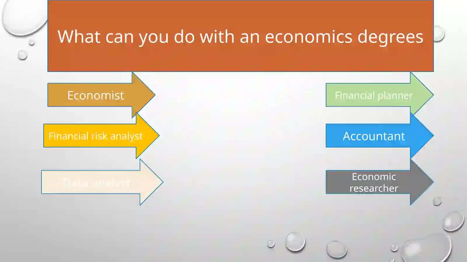 The role of economists in the secienty 3