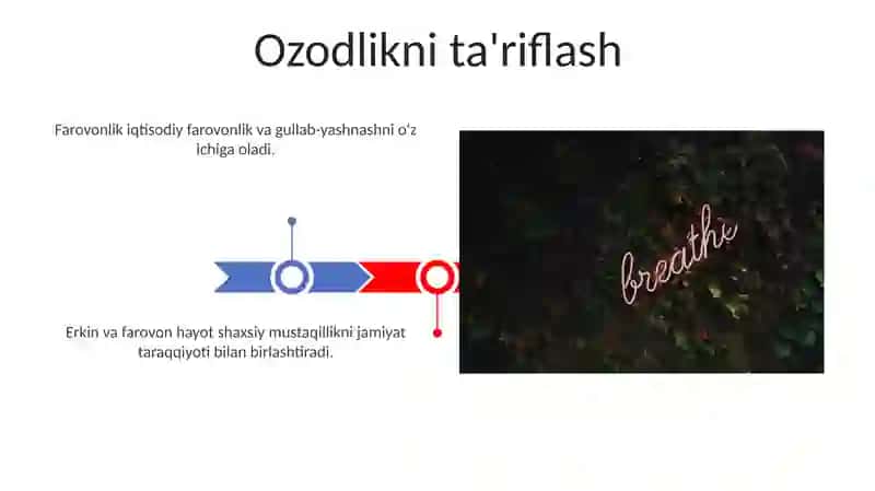 Erkin va farovon hayot mazmuni 3