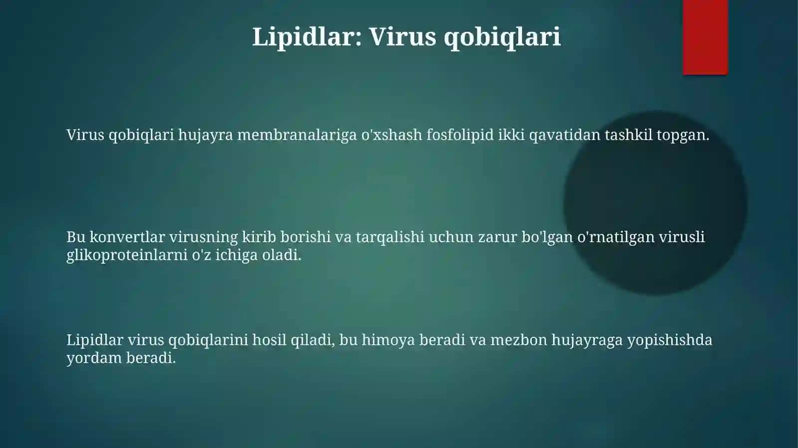 Viruslarning kimyoviy tarkibi 3