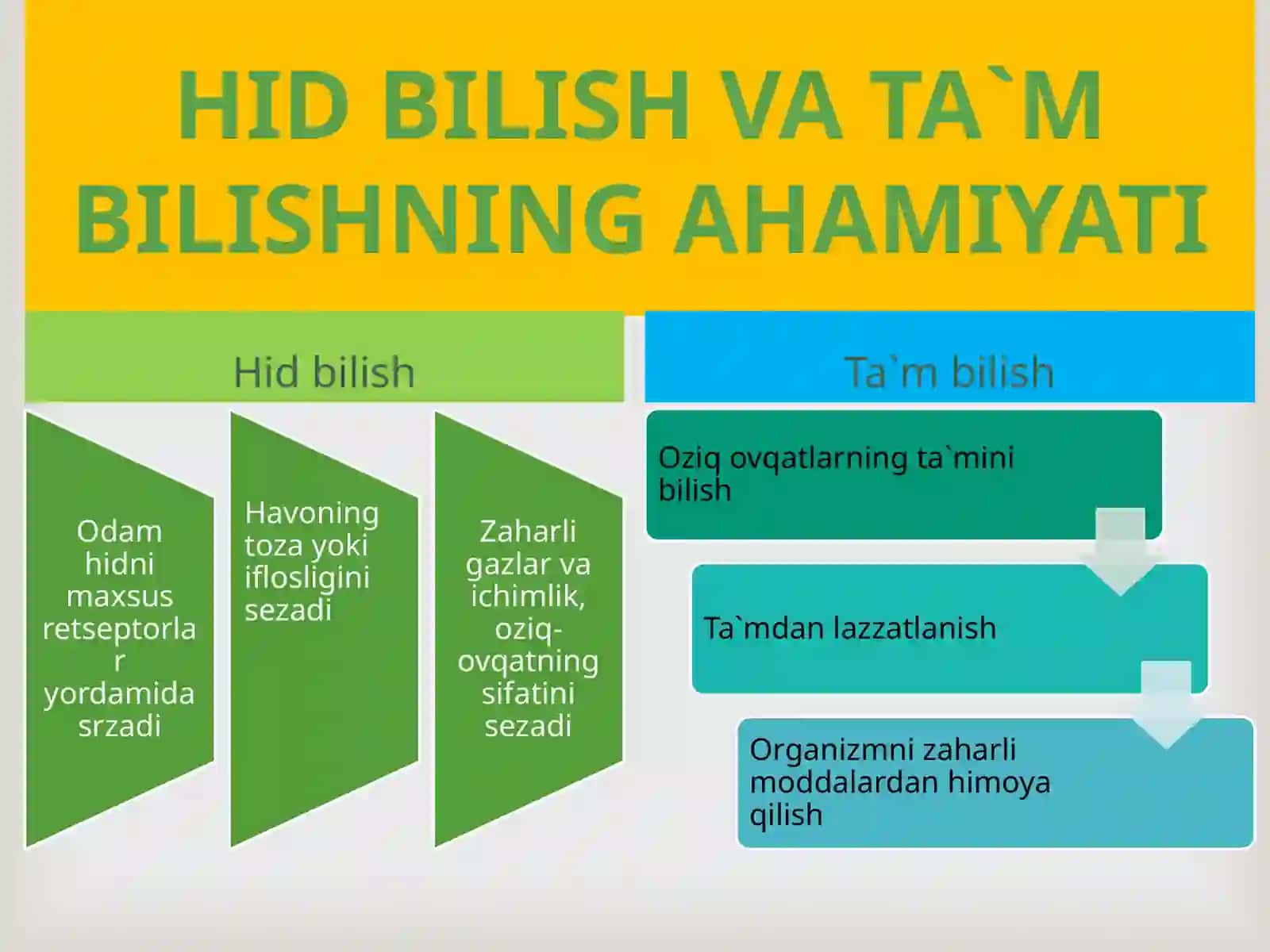 HID BILISH VA TA`M BILISH ORGANLARI 3