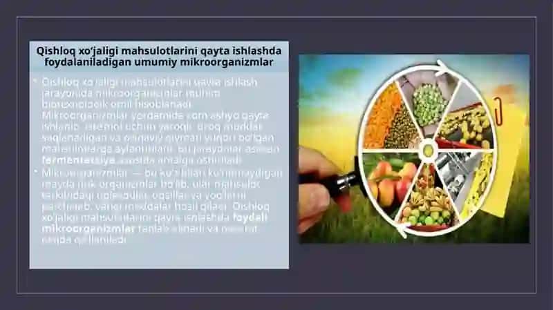 Foydali bakterialarni o'rganish 3