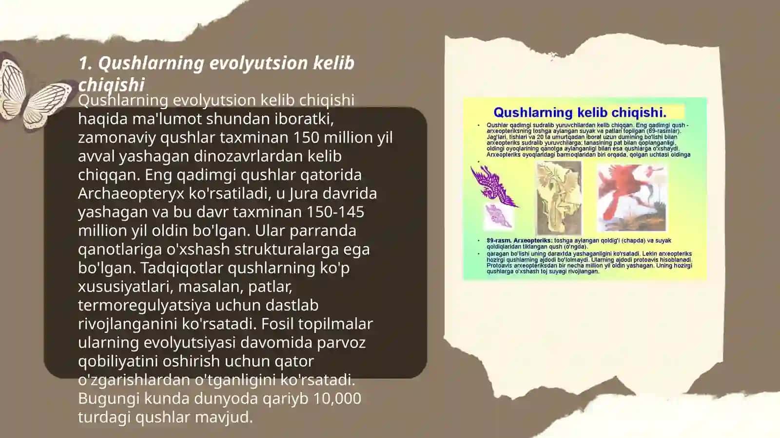 Qushlarning kelib chiqishi va ekolyutsiyasi 3
