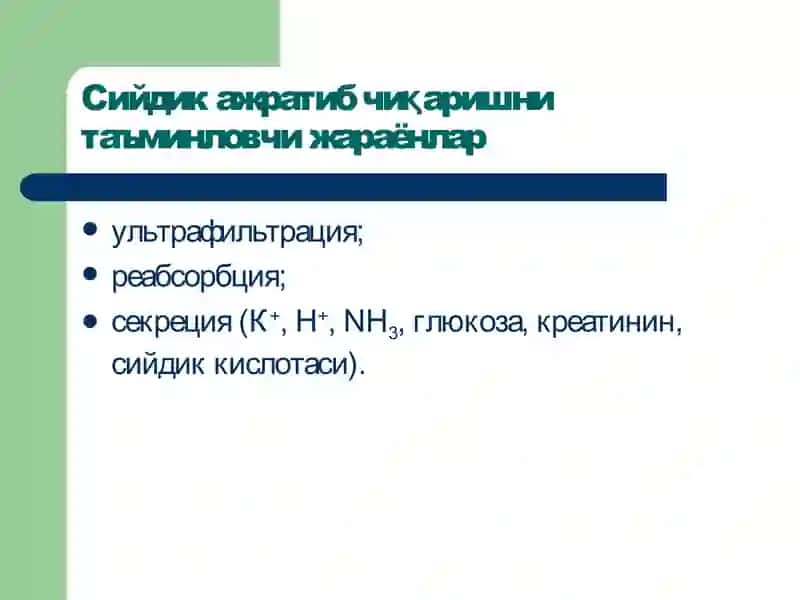 Буйраклар патофизиологияси 3