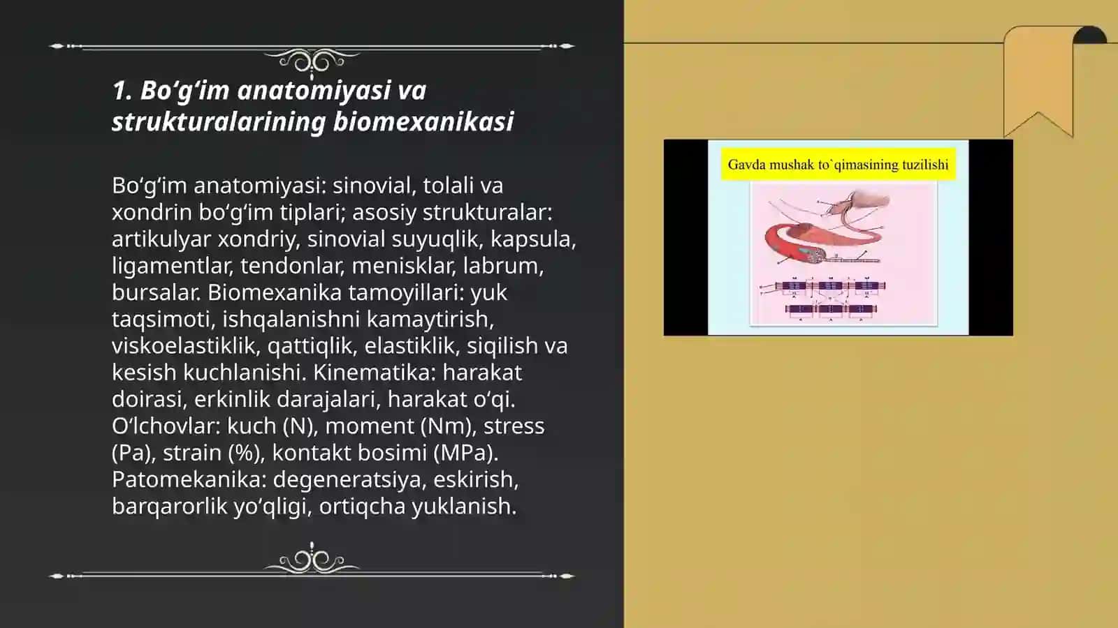 Boʻgʻimlarning biomexanikasi 3