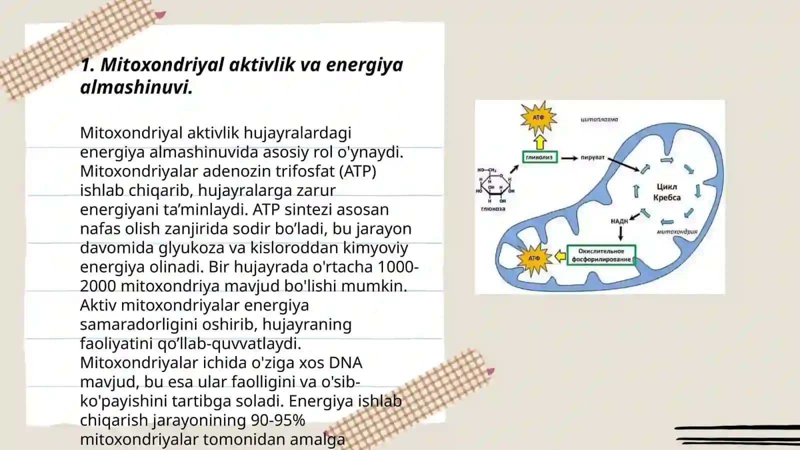 Energiya almashinuvining boshqarilishi 3