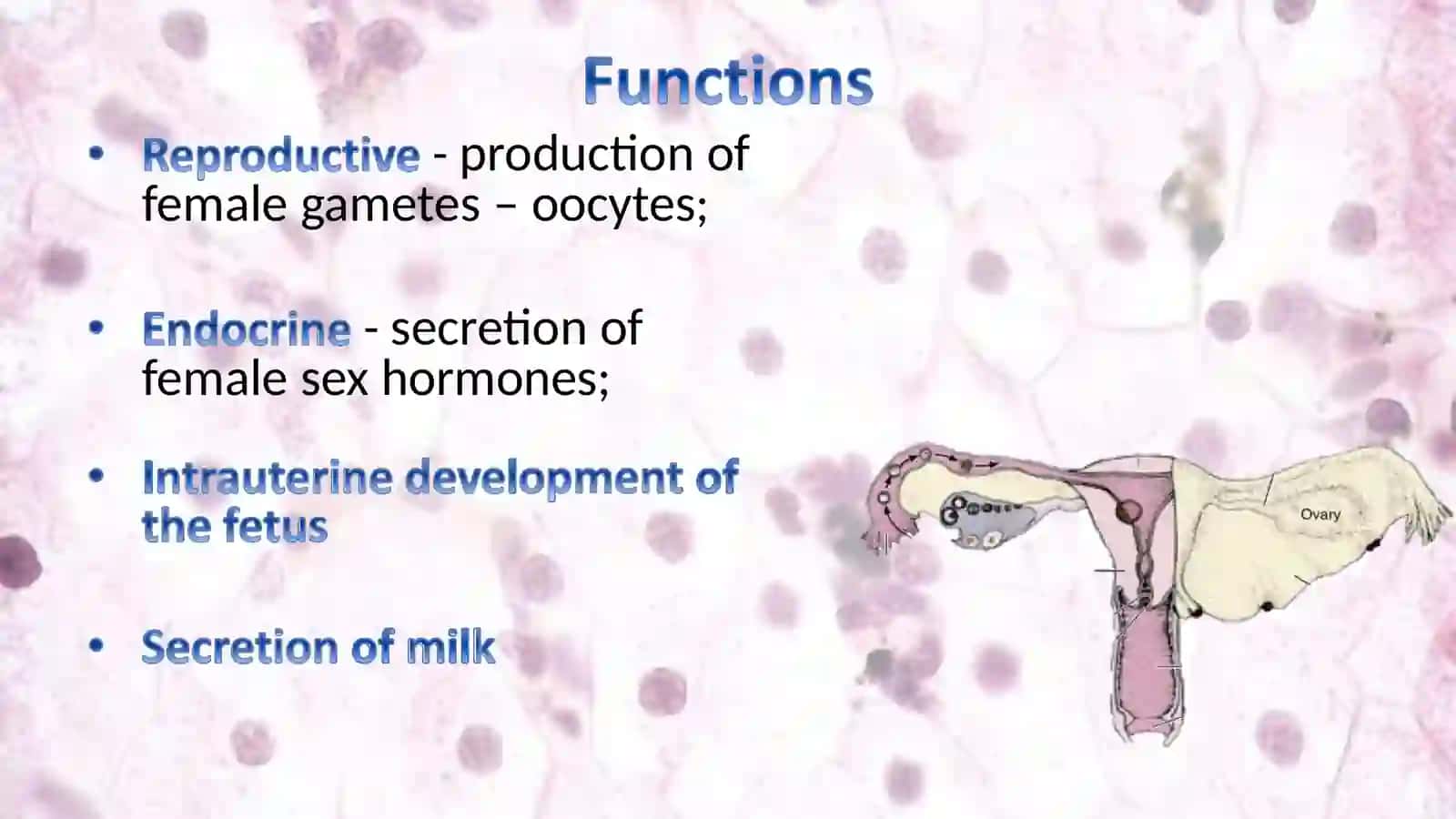 Mammary glands and Reproductive System Organs 3