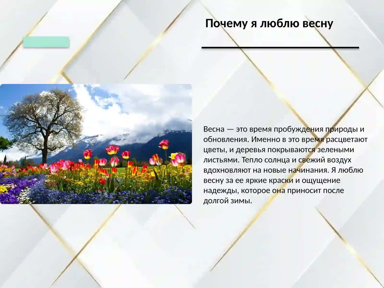 Мое любимое время года 3