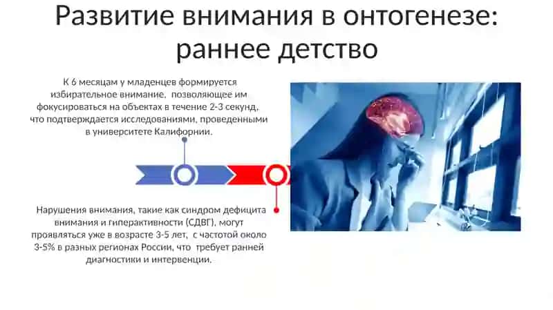 Развитие внимания в онтогенезе: раннее детство 3
